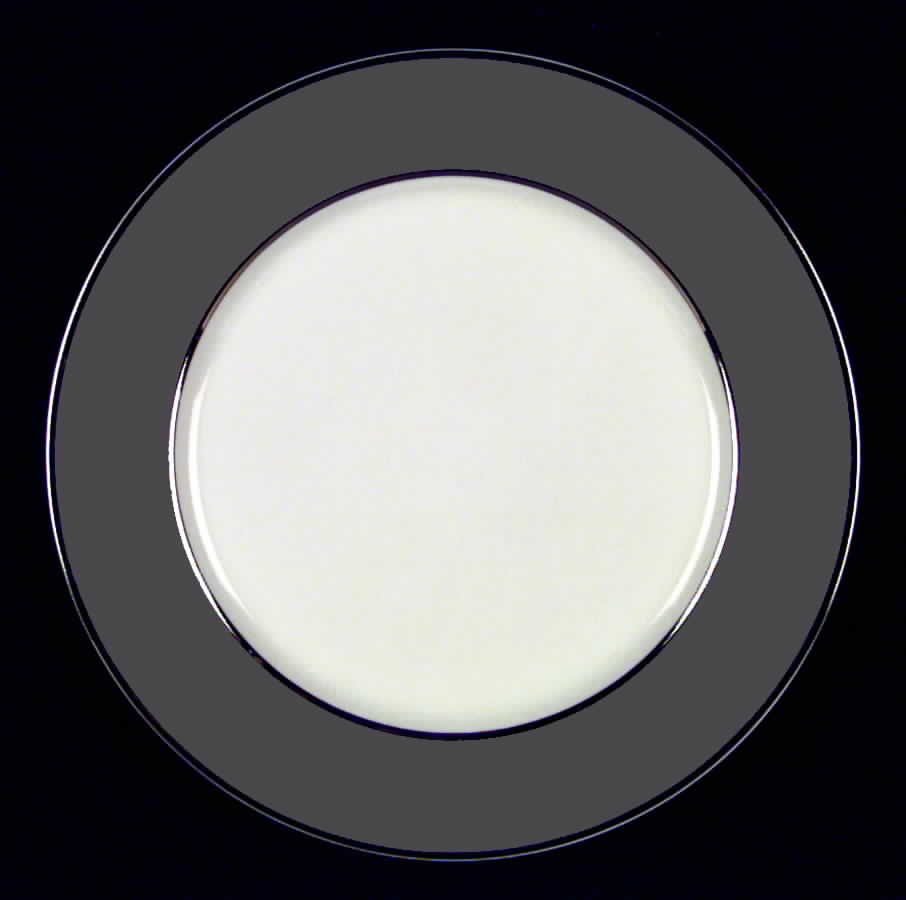 Ambassador Gray (Platinum) Dinner Plate by Royal Jackson-1