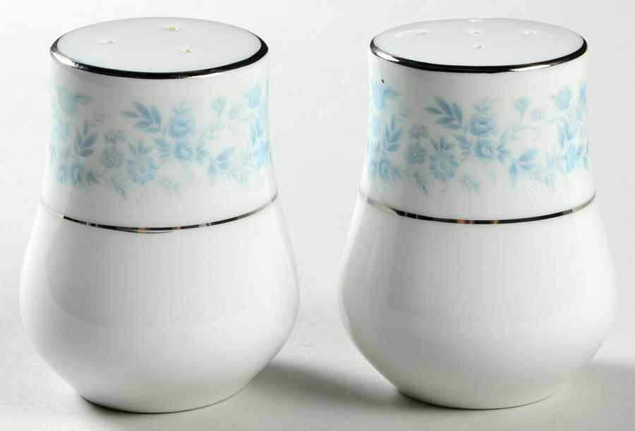 Blue Ridge Salt & Pepper Set by Royal Prestige-1