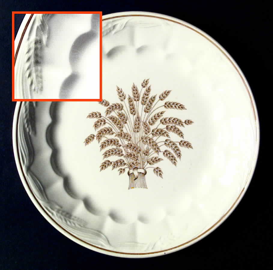 Bountiful Dinner Plate by Royal Staffordshire-1