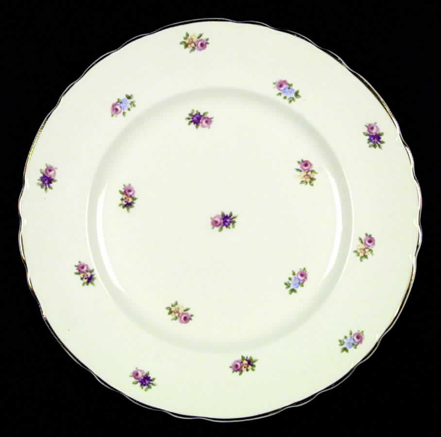 Devonshire (Gold Trim) Dinner Plate by Royal Staffordshire-1