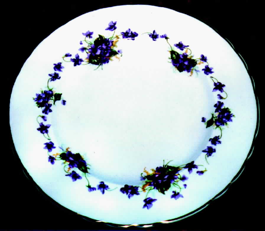 ROS10 Dinner Plate by Royal Staffordshire-1