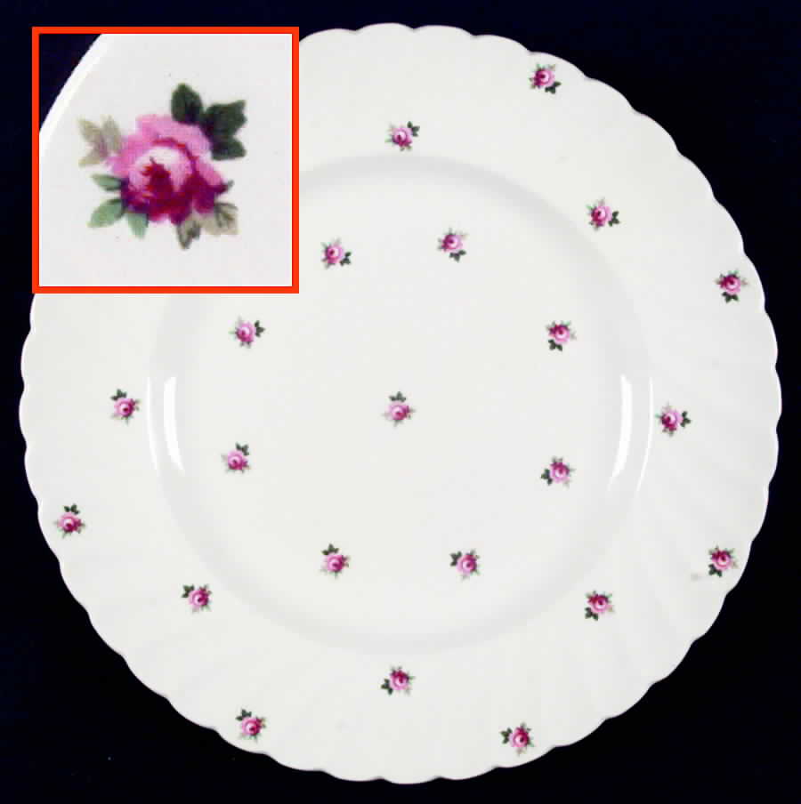 ROS4 Dinner Plate by Royal Staffordshire-1