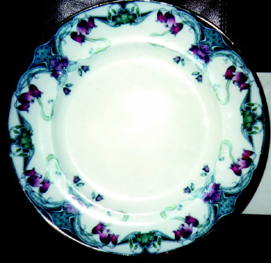 ROS7 Dinner Plate by Royal Staffordshire-1