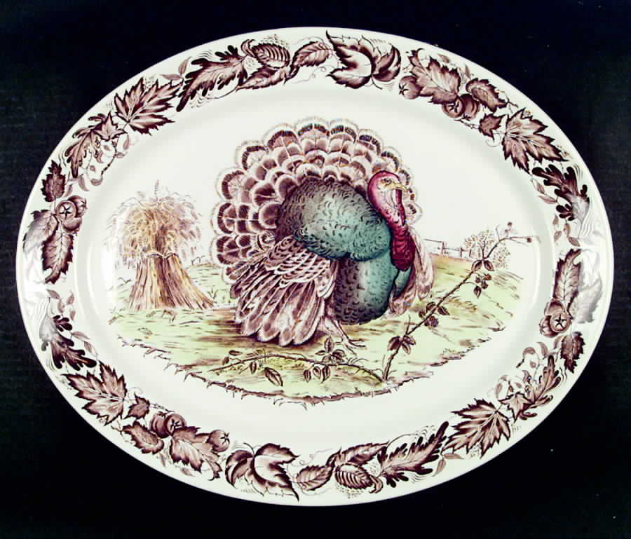 ROS9 19" Oval Serving Platter by Royal Staffordshire-1