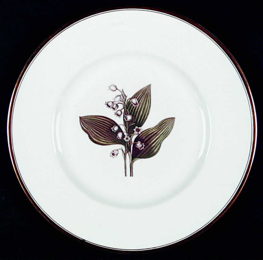 Williamson Flower Dinner Plate by Royal Worcester-1