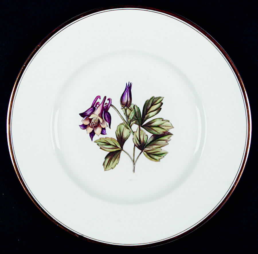 Williamson Flower Dinner Plate by Royal Worcester-1