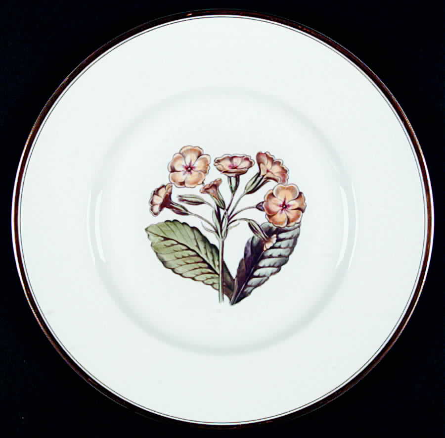 Williamson Flower Dinner Plate by Royal Worcester-1