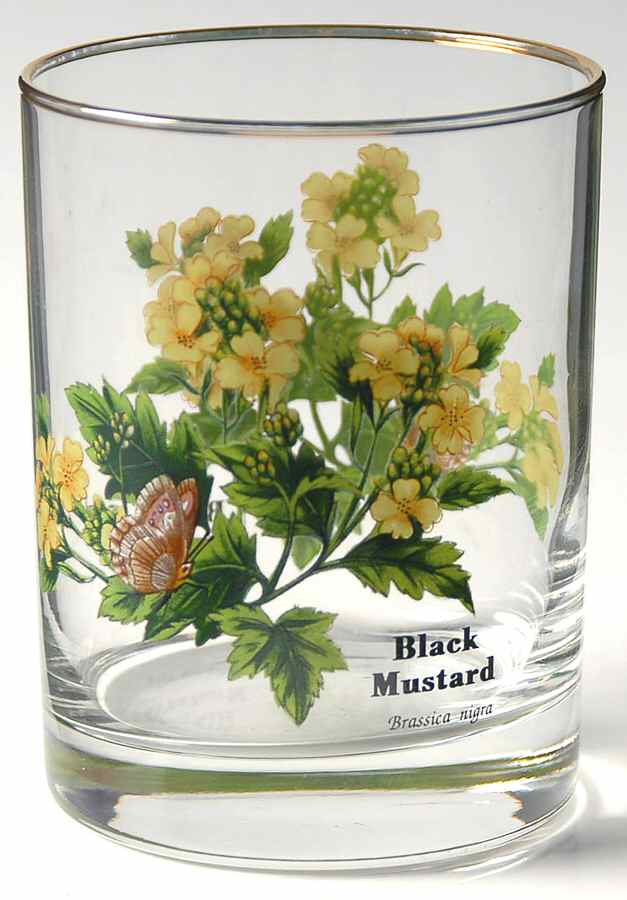 Worcester Herbs (Green Trim) 12 Oz Glassware Double Old Fashioned by Royal Worcester-1