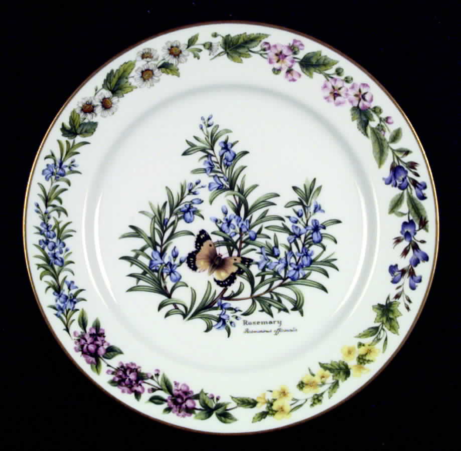 Worcester Herbs (Gold Trim) Dinner Plate by Royal Worcester-1