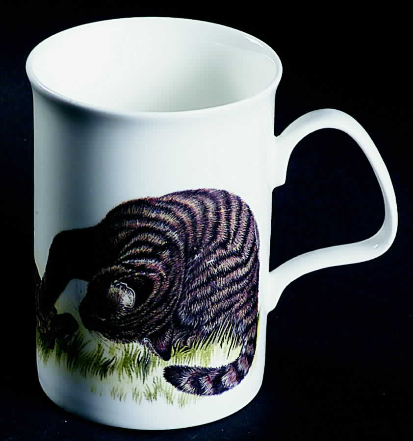 Kitten Lovers Mug by Roy Kirkham-1