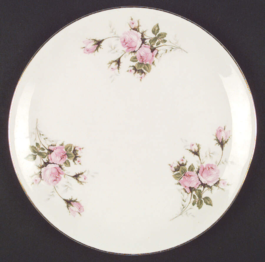 RYW1 Dinner Plate by Royal Wilton-1