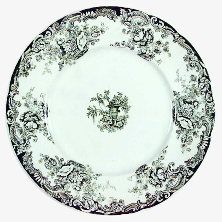 Arcadia Green Dinner Plate by Royal Staffordshire-1