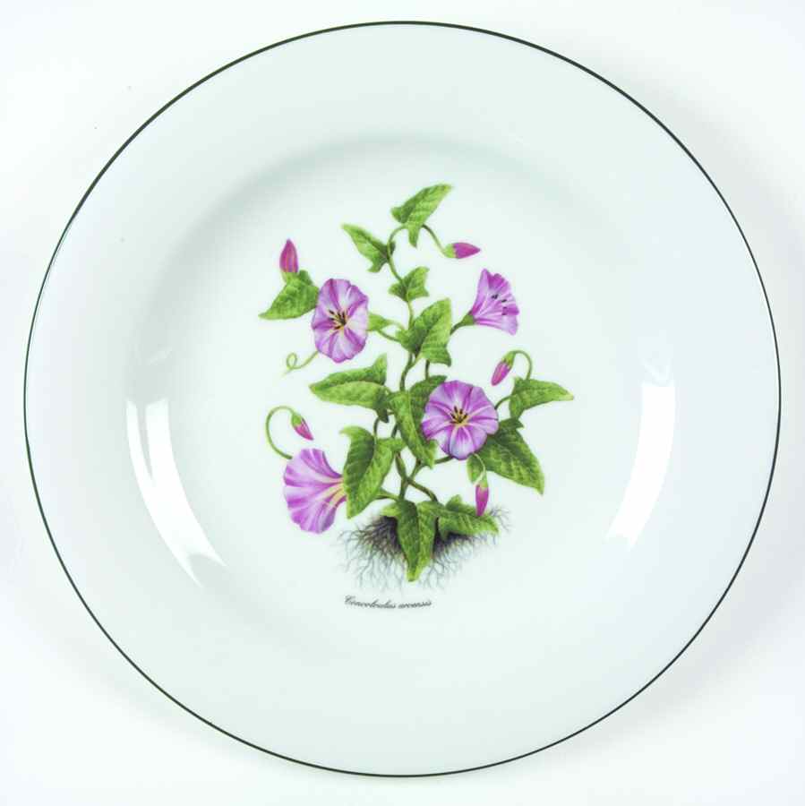 RVA20 Dinner Plate by Royal Vale-1