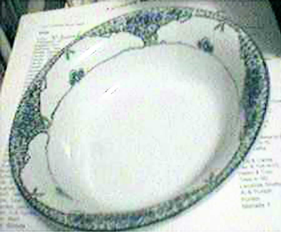 Blue Bell 9" Oval Vegetable Bowl by Royal Staffordshire-1