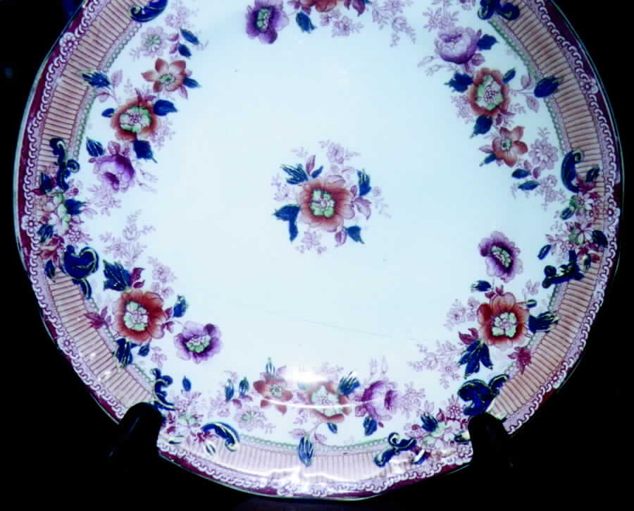 Carlton Multicolor Dinner Plate by Royal Staffordshire-1