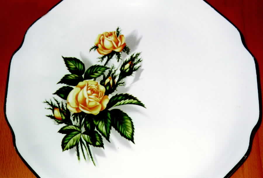 Moss Rose Dinner Plate by Royal Darwood-1