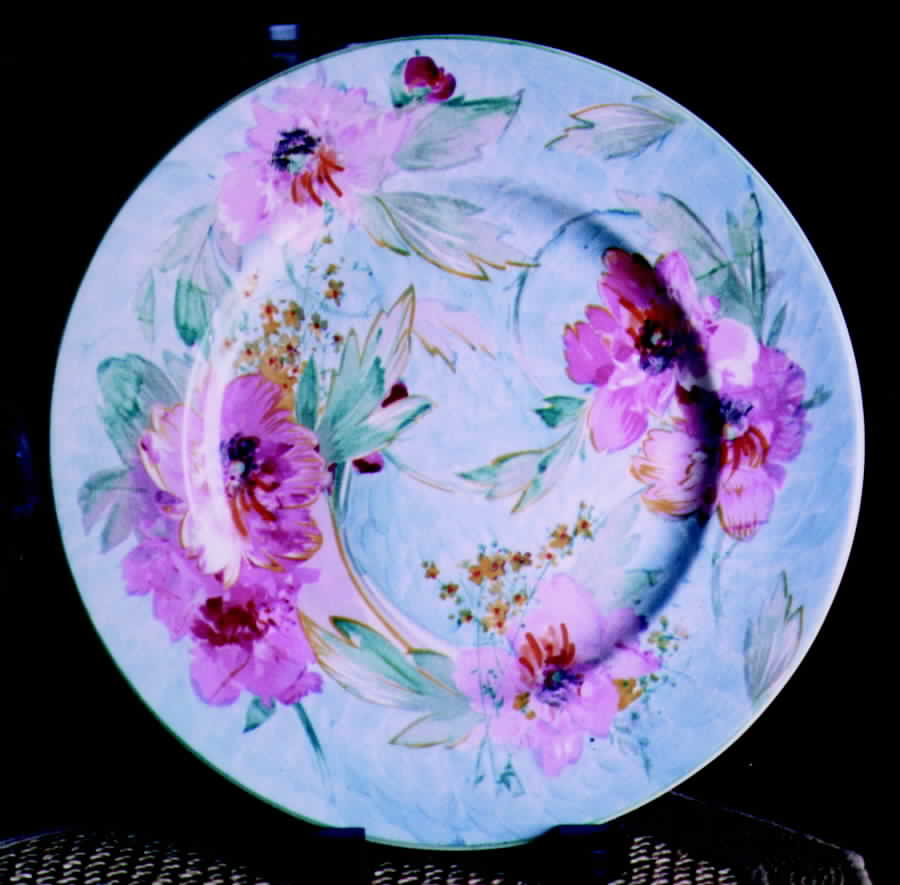 ROS19 Dinner Plate by Royal Staffordshire-1