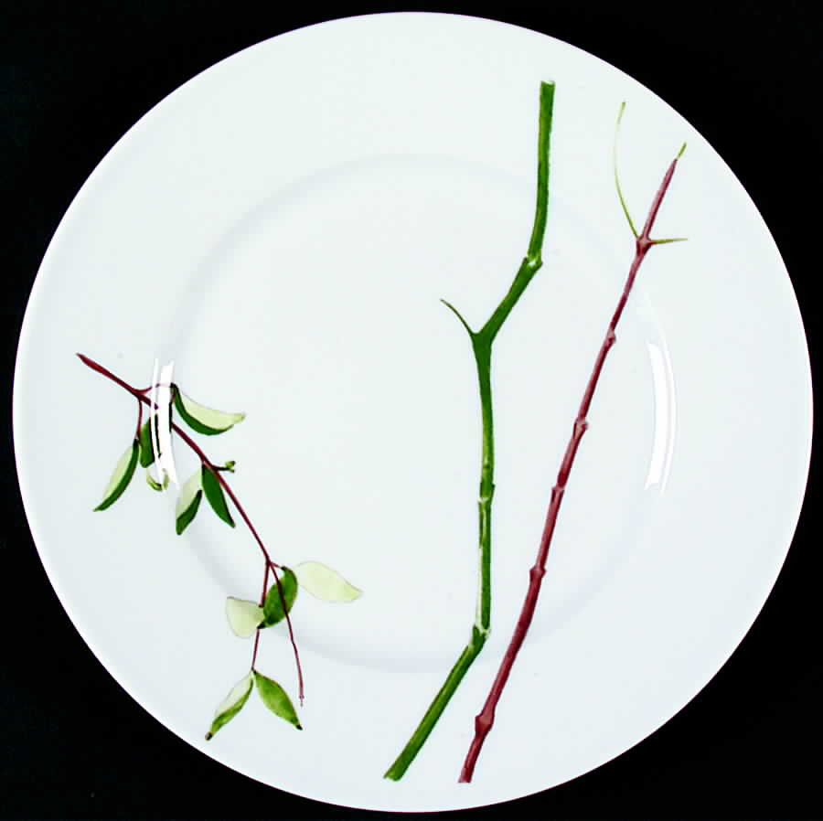 Verdures Dessert Luncheon Plate by Raynaud-1