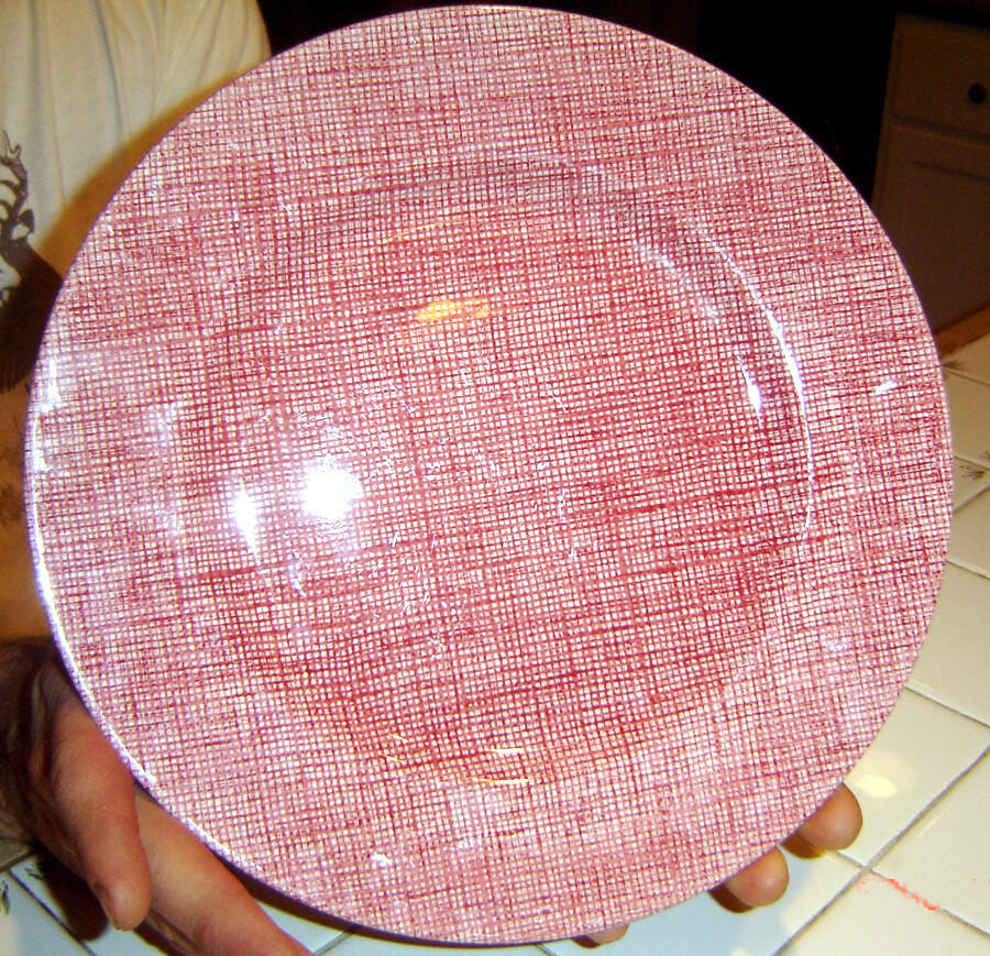 Hopsack Red Dinner Plate by Royal Stafford-1