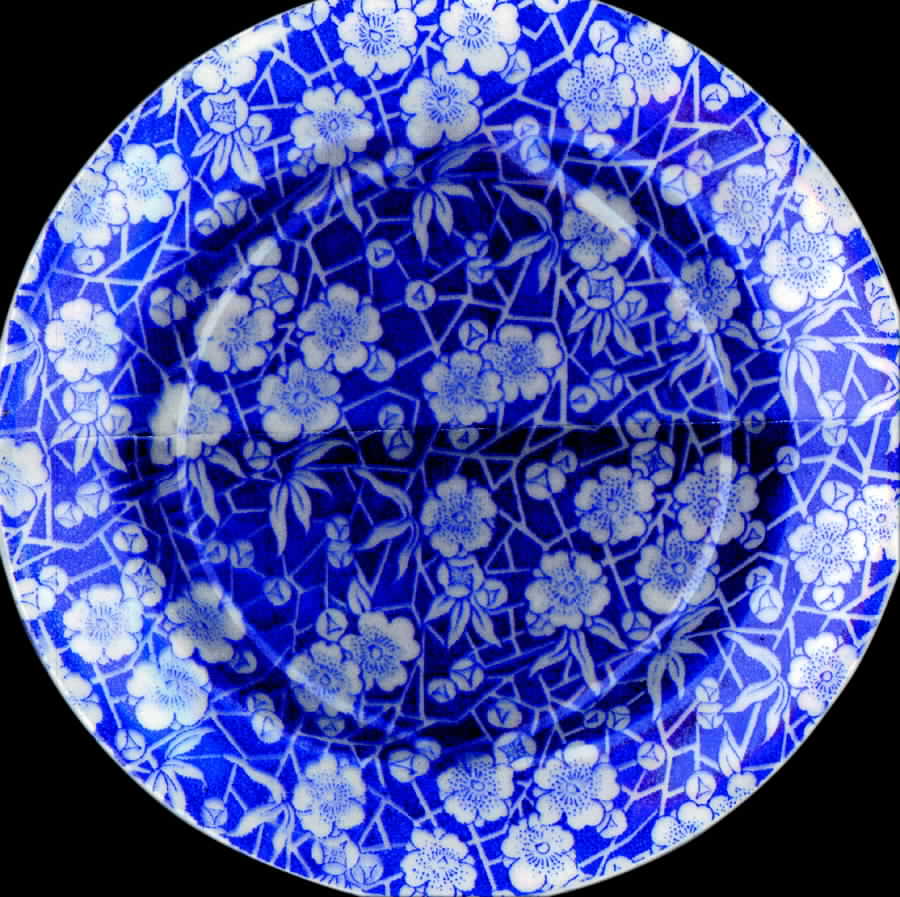 Cloisonne Salad Plate by Royal Staffordshire-1