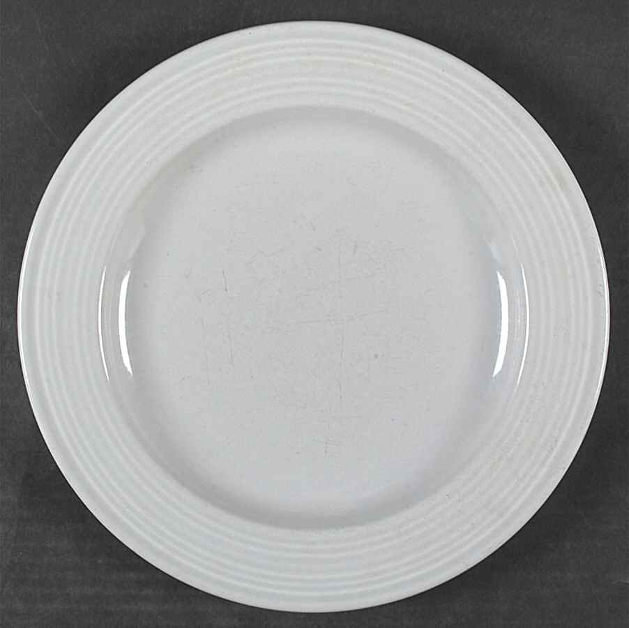 Color Your Table Gray Dinner Plate by Riva Designs-1