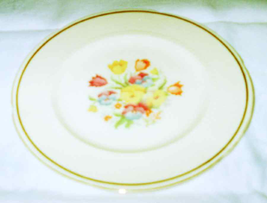 Gay Pariee Dinner Plate by Royal Tunstall-1