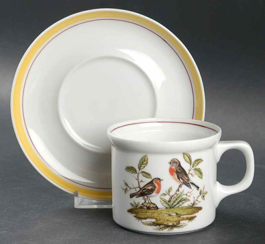 Bayreuth Birds Flat Cup & Saucer Set by Royal Bayreuth-1