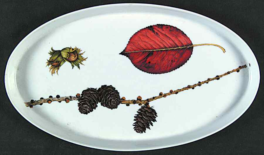 Wild Harvest (No Trim) 11" Oval Steak Platter by Royal Worcester-1