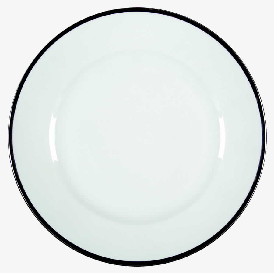 1473 (Aida, White, Platinum Trim) Dinner Plate by Rosenthal - Continental-1