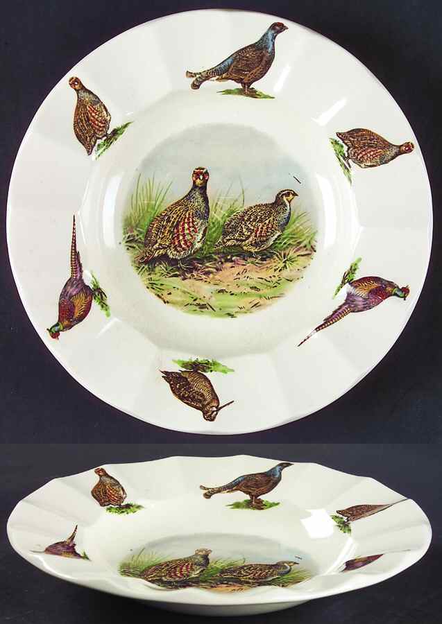 ROS47 Rim Soup Bowl by Royal Staffordshire-1
