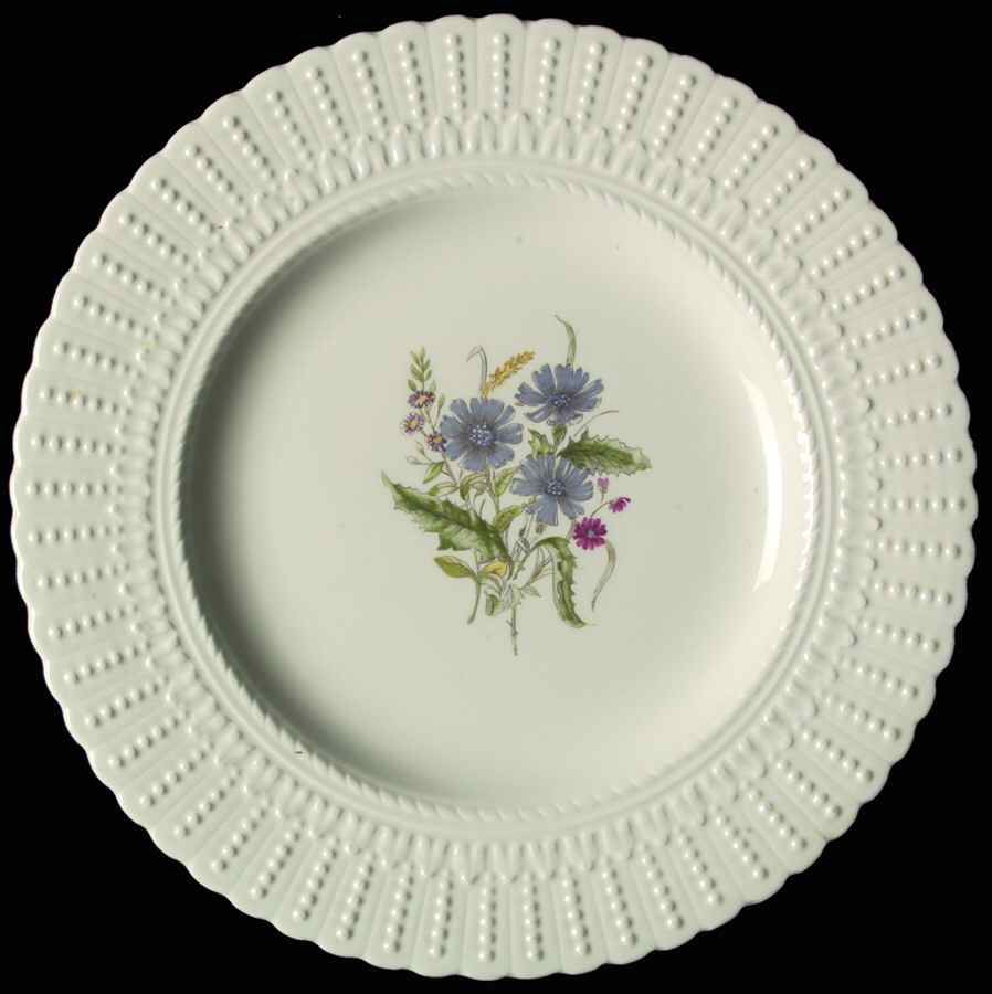 Woodstock Luncheon Plate by Royal Cauldon-1