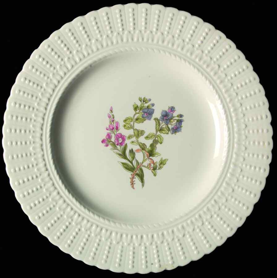Woodstock Luncheon Plate by Royal Cauldon-1