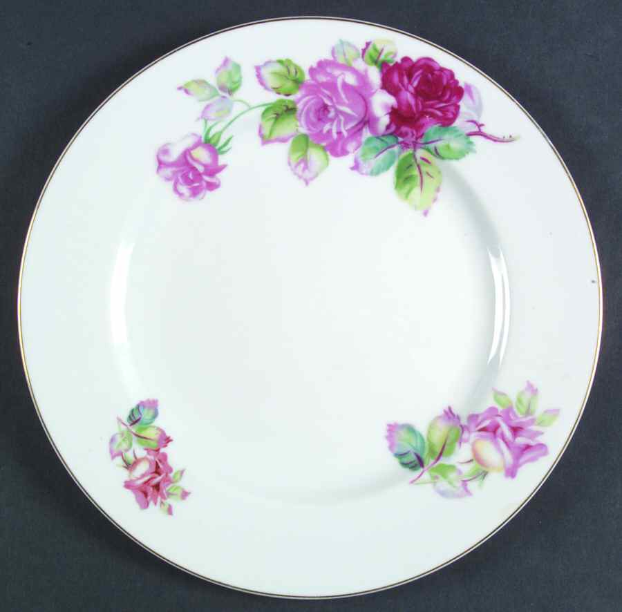 RGN3 Dinner Plate by Regina (Japan)-1
