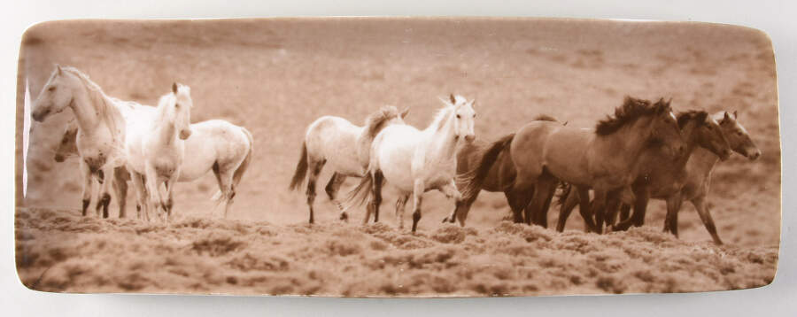 Unbranded Rectangular Tray by Ranch House-1