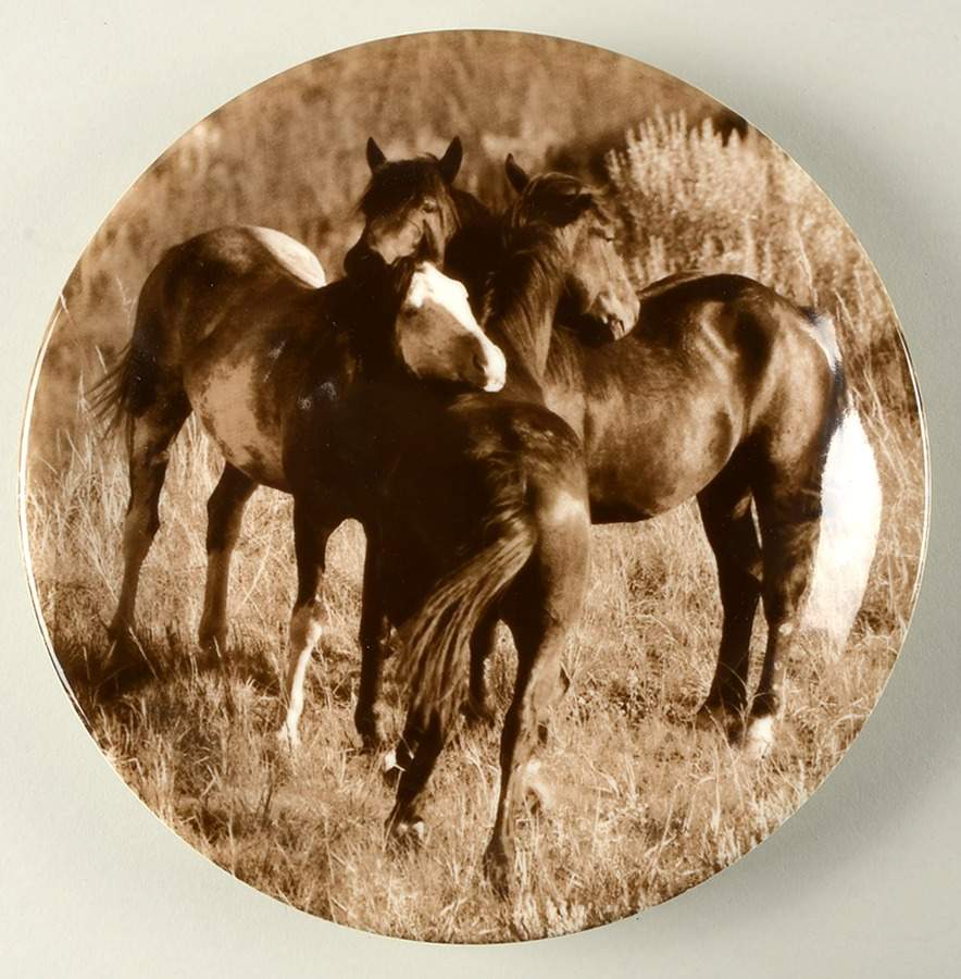 Unbranded Salad Plate by Ranch House-1