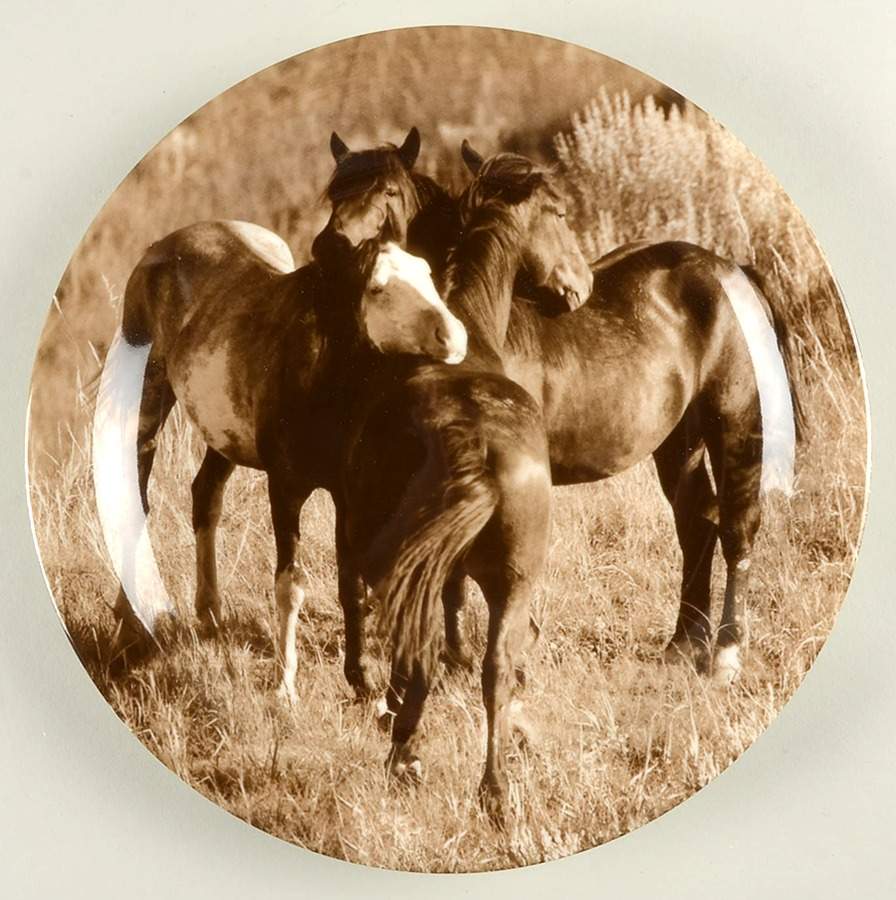 Unbranded Dinner Plate by Ranch House-1