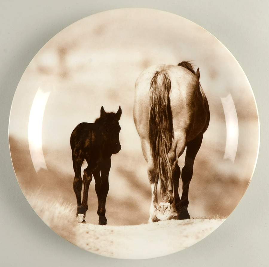 Unbranded Dinner Plate by Ranch House-1