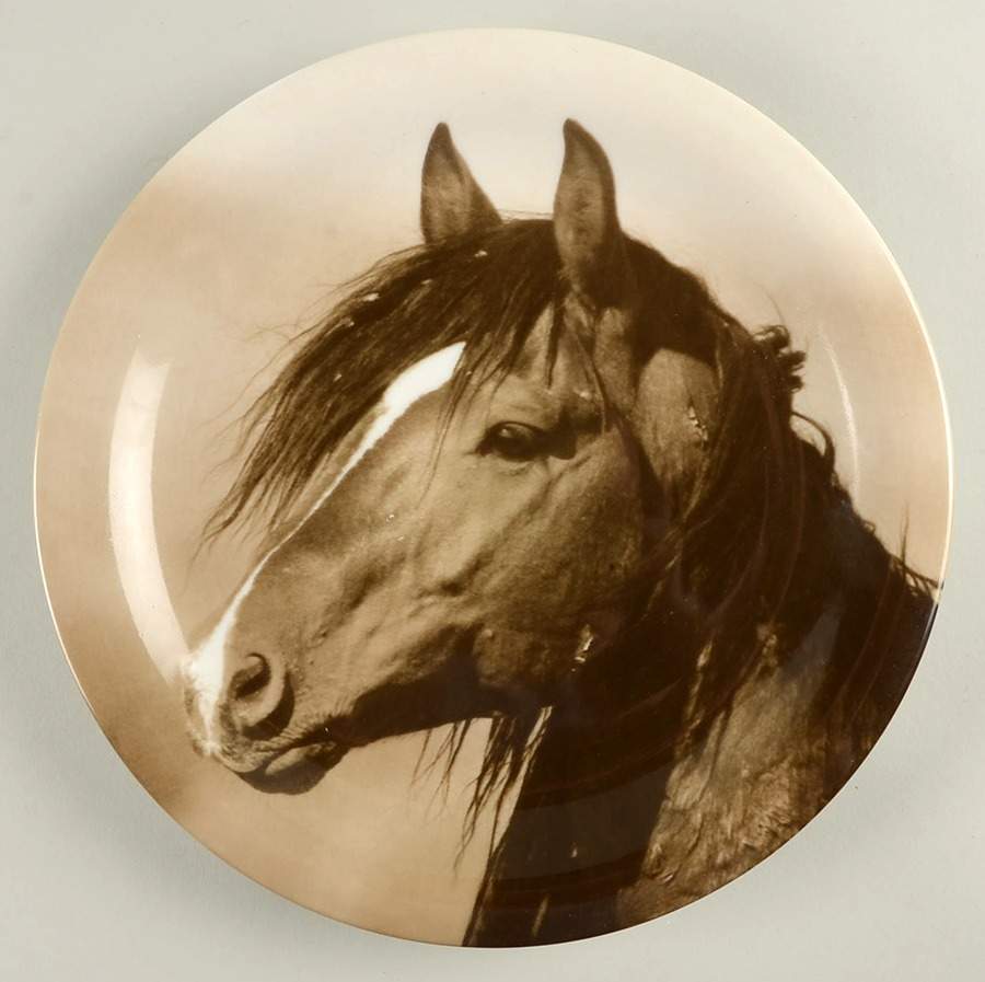 Unbranded Dinner Plate by Ranch House-1