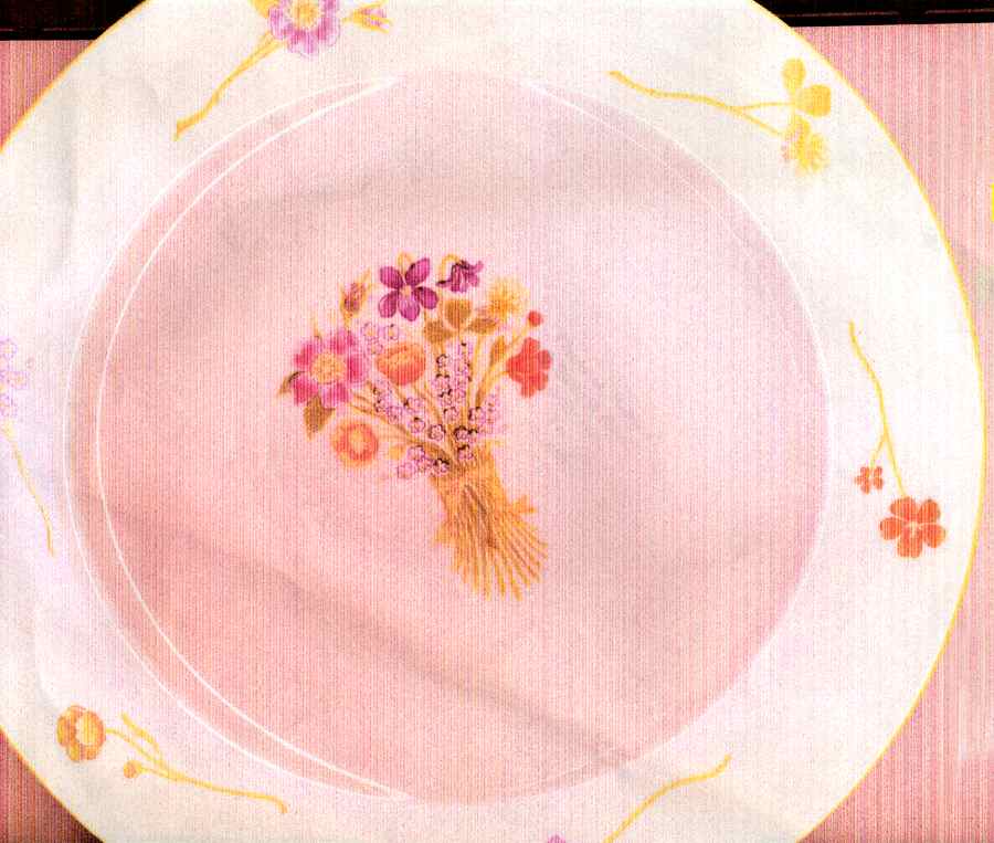 Fleurs Et Rubans Dinner Plate by Rochard-1