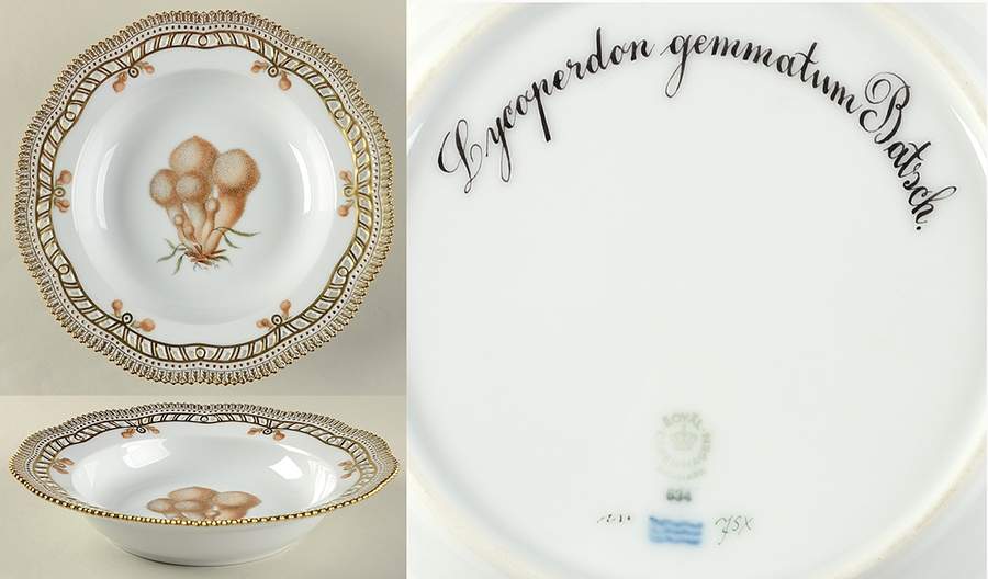 Flora Danica Fungi Collection Pierced Large Rim Soup Bowl by Royal Copenhagen-1