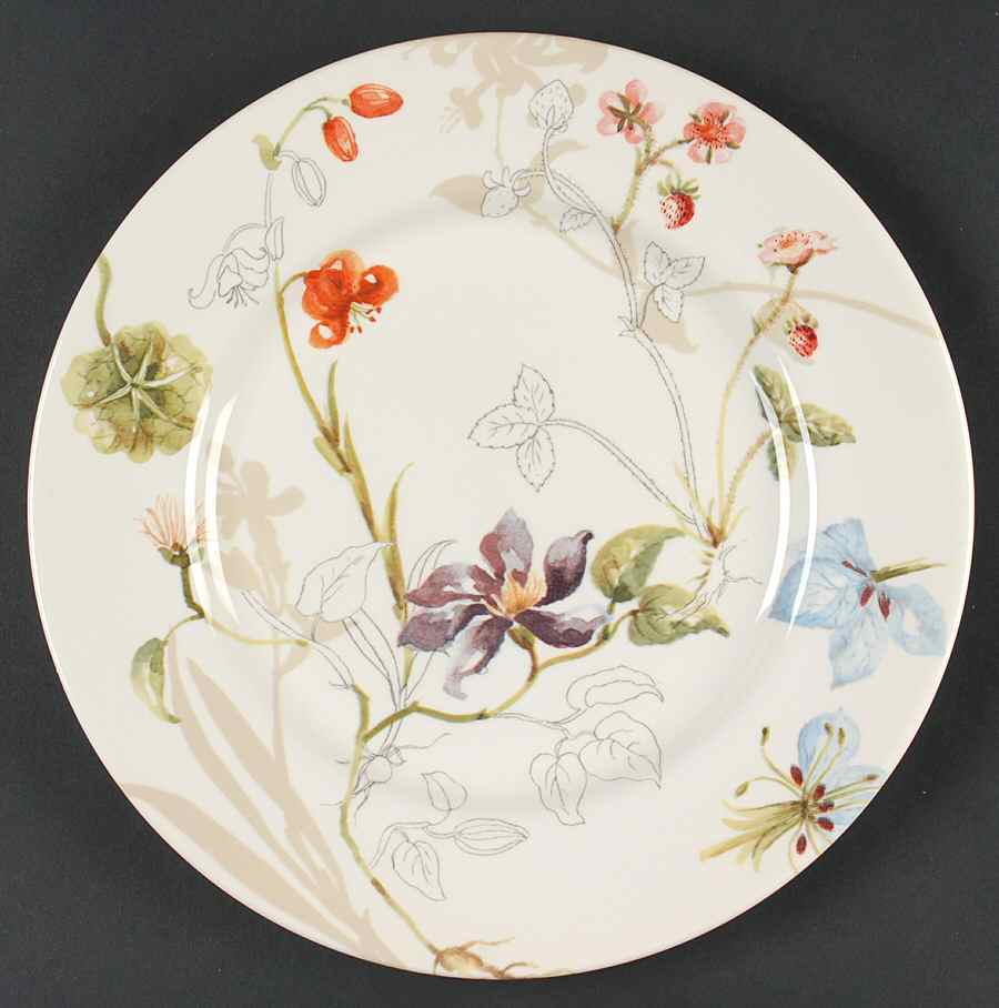 Sketchbook Dinner Plate by Royal Stafford-1