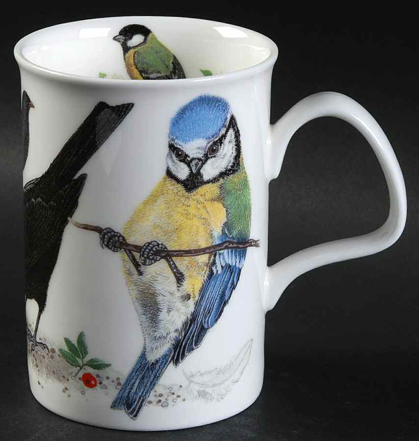 Garden Birds Lancaster Mug by Roy Kirkham-1