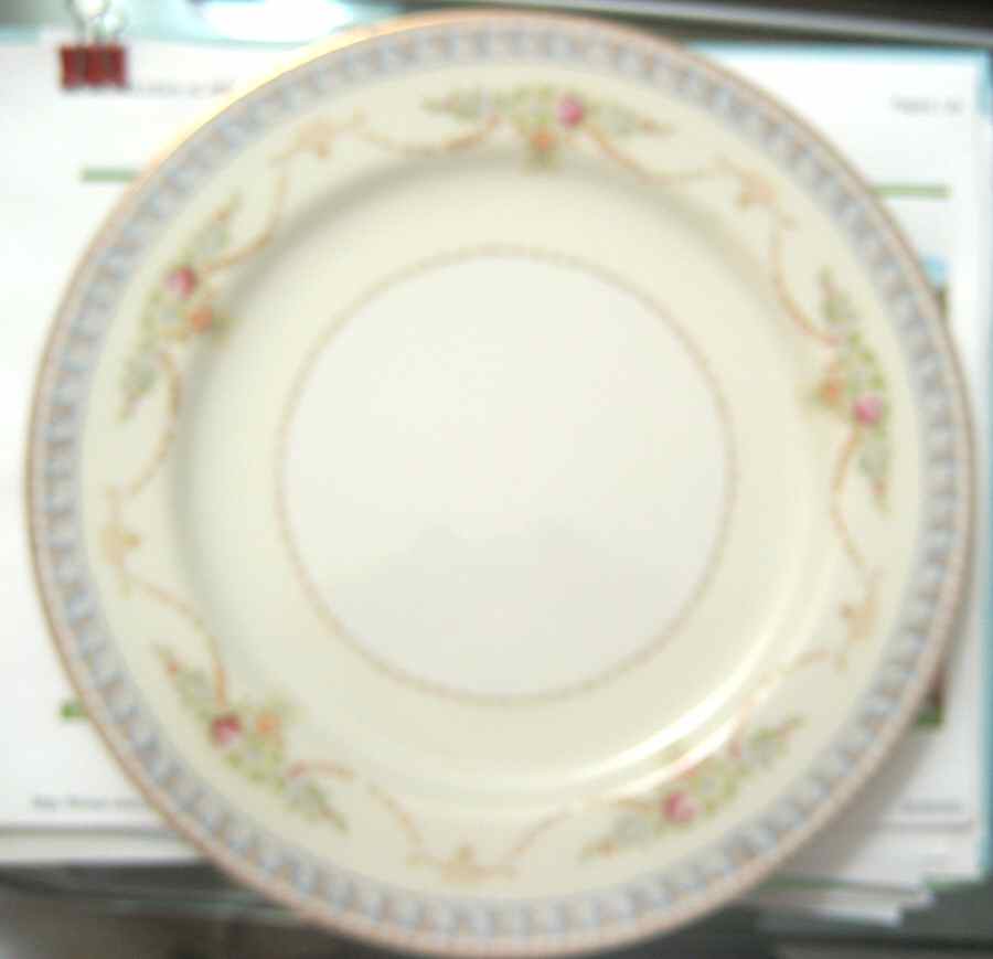 R4I2 Dinner Plate by Richmond Y& C-1
