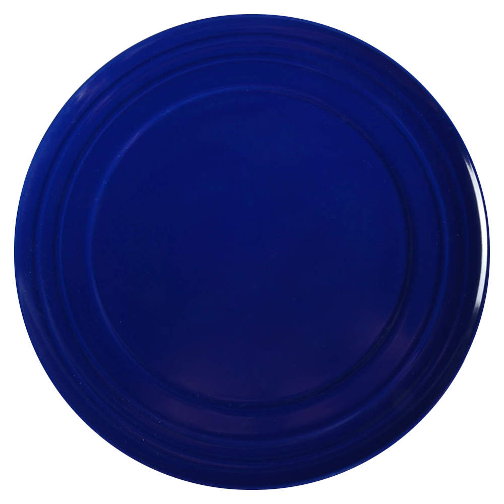 Double Ridge Blue Raspberry Dinner Plate by Rachael Ray-1