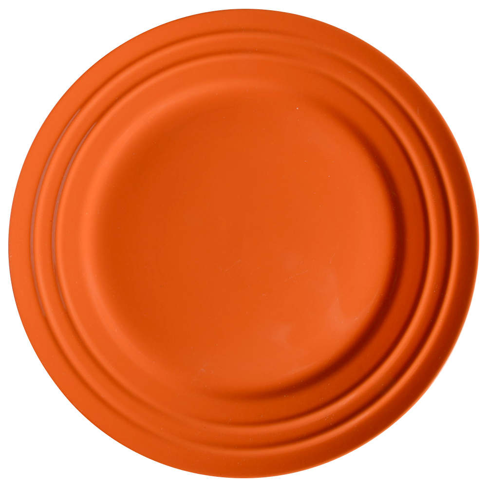 Double Ridge Tangerine Orange Dinner Plate by Rachael Ray-1