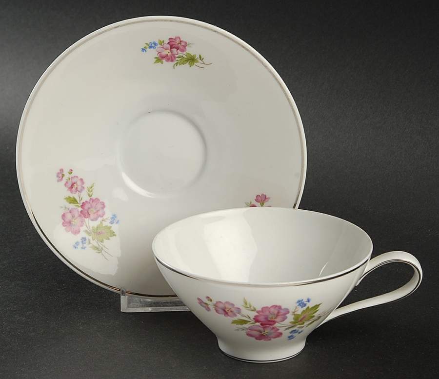 M3379 Flat Cup & Saucer Set by Rosenthal - Continental-1