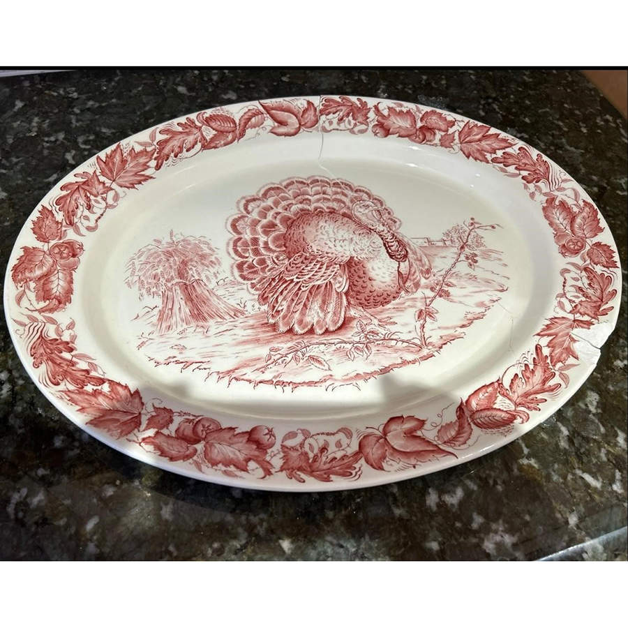 ROS105 19" Oval Serving Platter by Royal Staffordshire-1