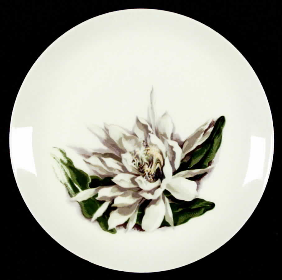 Night Blooming Cereus Dinner Plate by Santa Anita-1