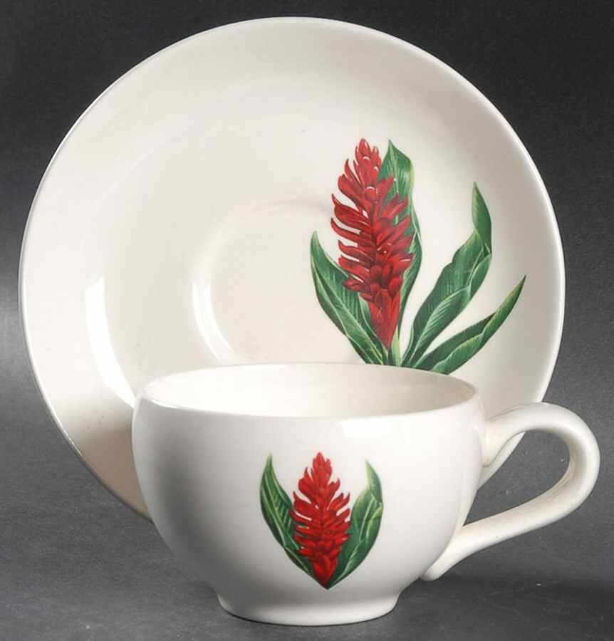 Red Ginger Flat Cup & Saucer Set by Santa Anita-1