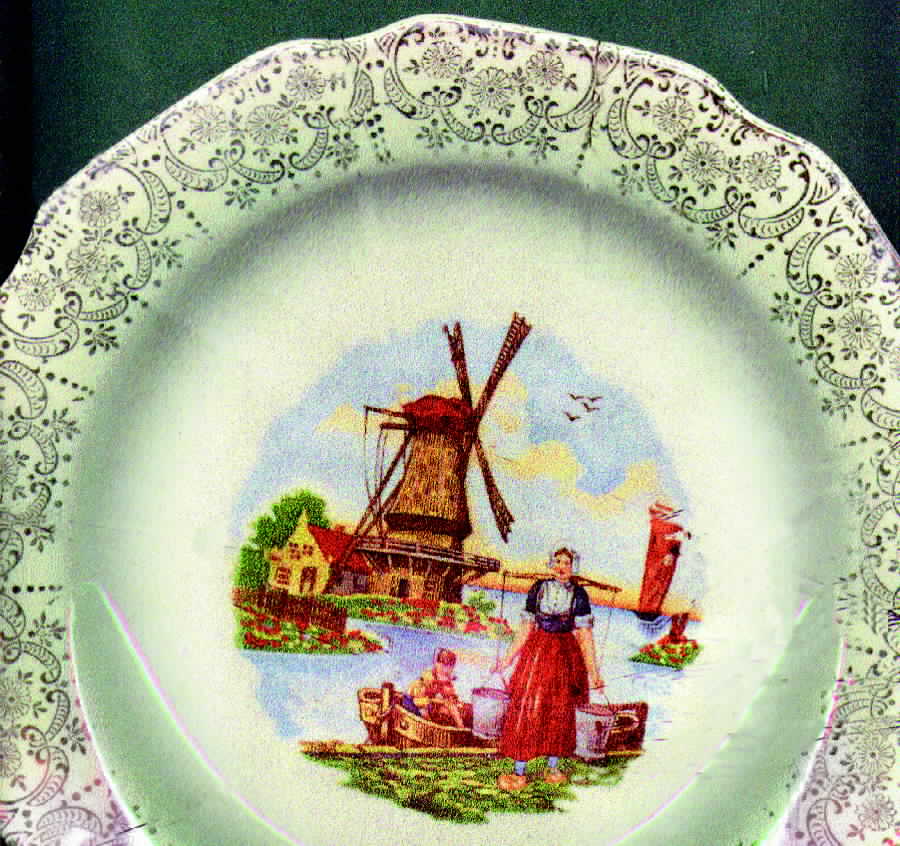 SAB32 Dinner Plate by Sabin-1
